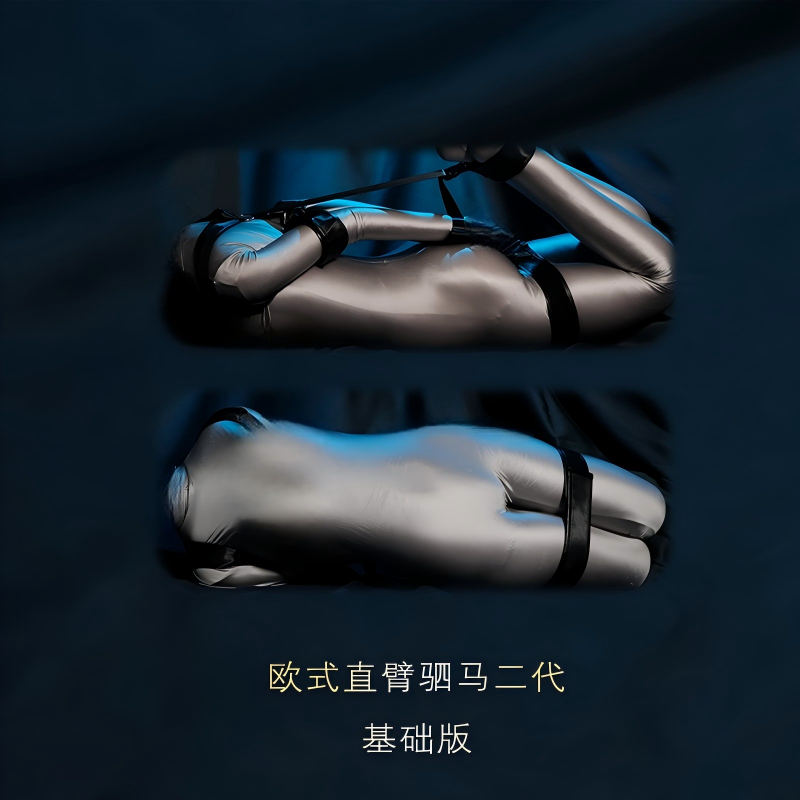 欧式直臂驷马二代基础版