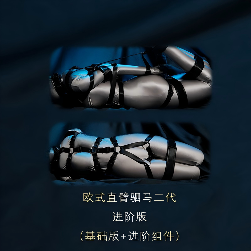 欧式直臂驷马二代进阶版